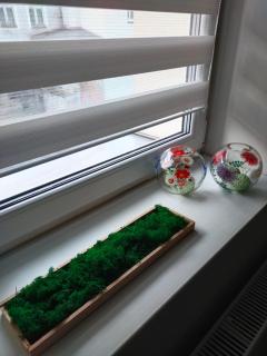 Apartament Przy rynku - 2