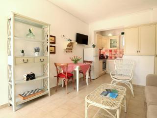 Studio in Olive Garden - 1km frm city center - Città di Lefkada - 9