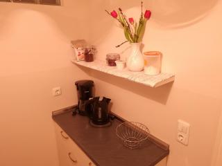 Ferienwohnung an der Elbfähre - Dresden - 3