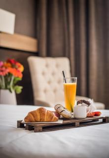 Dunav Plaza Hotel - Roese - 9