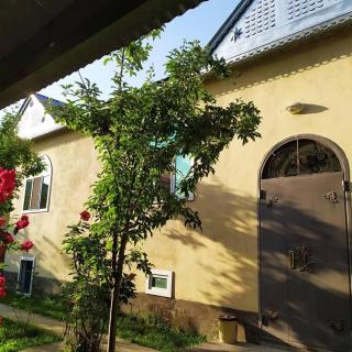 Gabala Rent House - Gabala - 0