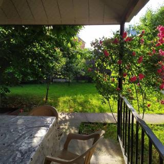 Gabala Rent House - Gabala - 8