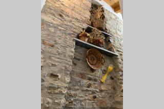 La Terrazza sulle Apuane - 4