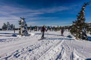 Hotel Fit Fun - Harrachov - 6
