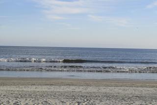 Doodling by the Sea home - Myrtle Beach - 9