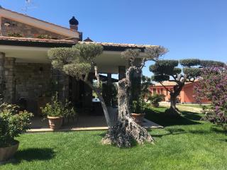 Le Rose - Nettuno - 9