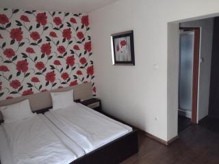 Pensiunea Larysse - 9