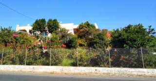 Villa Rosemagnolia, pool 35m2, in green, gardens, full sun close to everything - Ayiá - 6