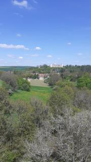 Gite des Belles Fontaines - Druyes-les-Belles-Fontaines - 3