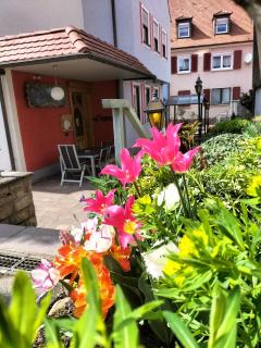 Hotel Brehm - Würzburg - 9
