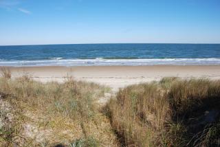 Old Time Beach Front Cottage - The Beach is your Backyard! Pet Friendly cottage - North Camellia Acres - 8
