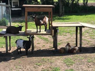 Pothuus 2 persoons vrijstaand huis met vrij uitzicht in de Achterhoek - 4