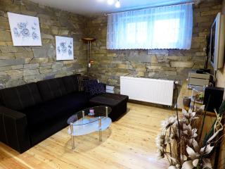 Apartament Olczanka z dwoma łazienkami - Zakopane - 8