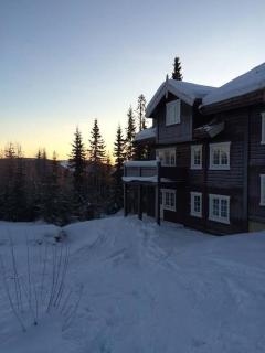 Nice apartment in Trysil ski in-out, sauna and view - 8