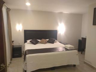 Hotel Anber - Dolores Hidalgo - 1
