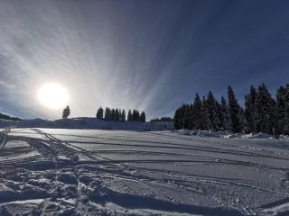 Ferienwohnung Adrowitzer - 9