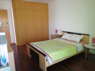 CASA VISTA RIO ESPOSENDE - 8