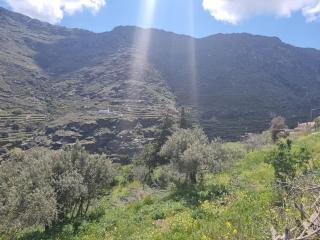 Syneti Andros house - 7