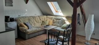 Apartment Lutherrose - Lutherstadt Eisleben - 9