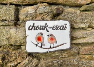 Chouk-Ezaï côte sauvage de l'île - Groix - 6