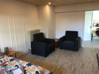 Au parfait, T2 Rdc, jardin, calme, parking, idéalement placé - Issoire - 3