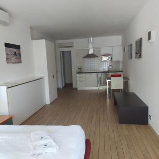 Villa Treccani Apartments - 4