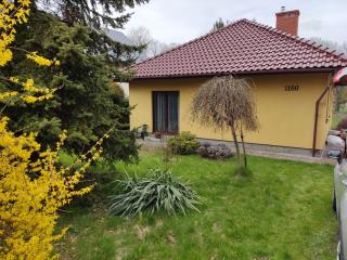 Zielone Buki - Buczkowice - 0