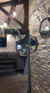 The Curious Fox - Skipton - 1