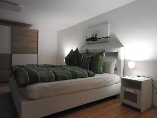 Schöne gemütliche Ferienwohnung mit Fernblick. - Nalbach - 4