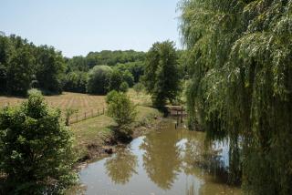 Robinzonski smještaj Oaza mira - 1