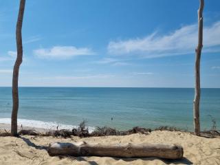Superbe appartement au coeur du Cap-Ferret - Cap-Ferret - 2