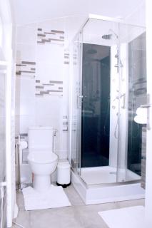 Saint Etienne : appartement Châteaucreux 40 M2 - Saint-Étienne - 4