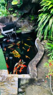Huong Thao 2 Hotel - Ha Giang - 9