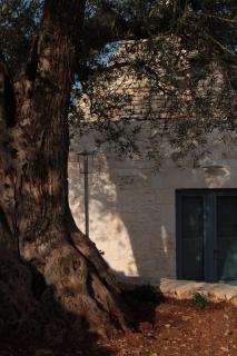 Trullo Il cantagallo - Locorotondo - 1
