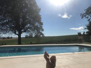Best view, pool and spa on the Champagne vineyard - Saint-Thierry - 4