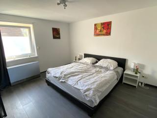 Ferienwohnung zum Pinguin 3 - Wiednitz - 3