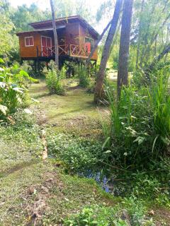 Cabañas Amo Río - Delta - Tigre - 5
