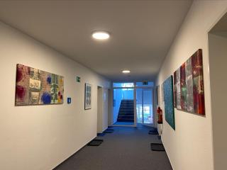 Waldwerk Wurlgrund Lychen - Lychen - 3