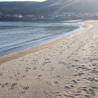 Fisterra -Sardiñeiro - Fisterra (Finisterre) - 7