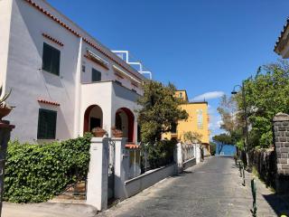 La Casa del Sole sul mare di Ischia - Ischia - 8
