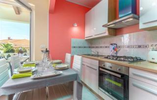 Apartment Liam - Novigrad - 9