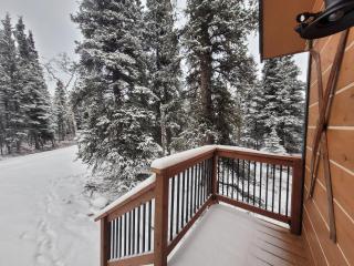 Denali Wild Stay - Muskrat cabin, private, free wifi, free parking, sleep 4 - Healy - 6