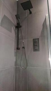 The Black Palms - Fistral Beach - 3