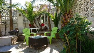 The Black Palms - Fistral Beach - 9