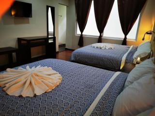 HOTEL GOL INN PLATINUM - San Cristóbal de Las Casas - 7