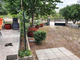 Country House Iva - Trbounje - 3