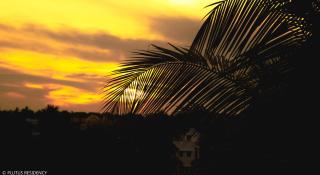 PLUTUS RESIDENCY - Auroville - 2
