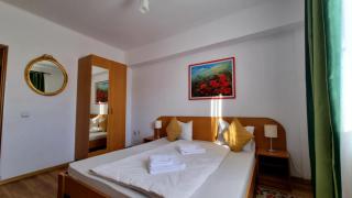 MOTEL PRISLOP - Haţeg - 4