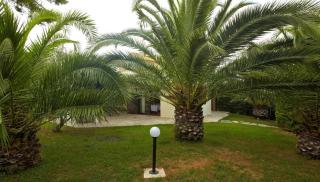 Muses Villas Resort - Sani Beach - 2