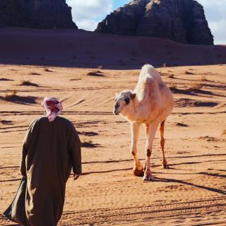 Magic Wadi Rum - Wadi Rum - 4